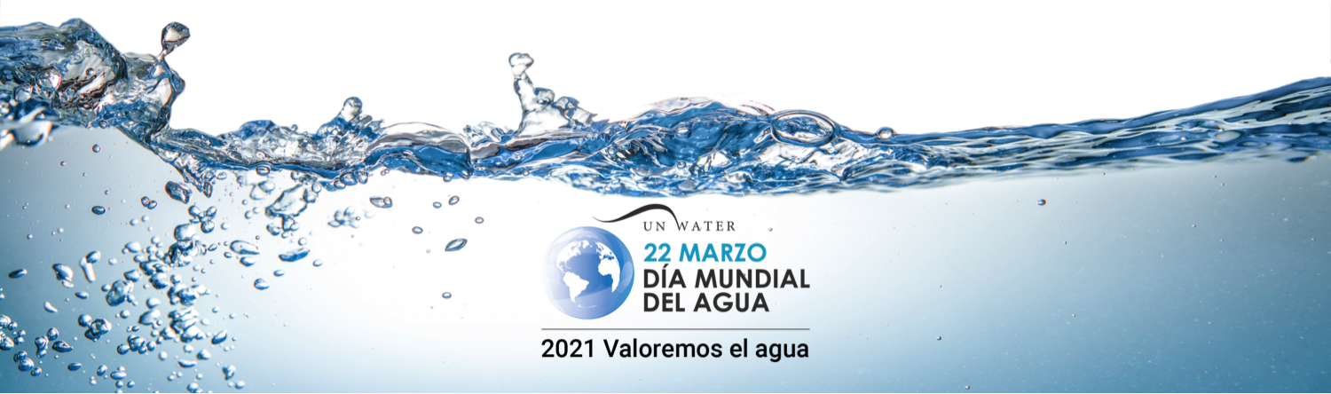Día Mundial del Agua 2021 ANEABE