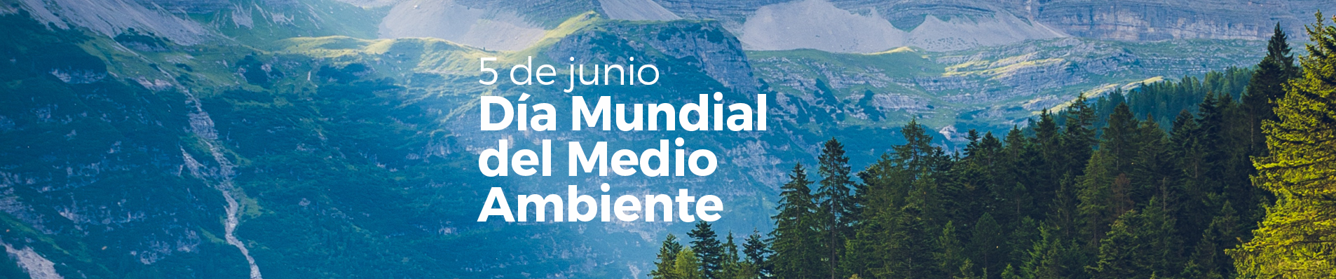 Dia Mundial del Medio Ambiente ANEABE banner